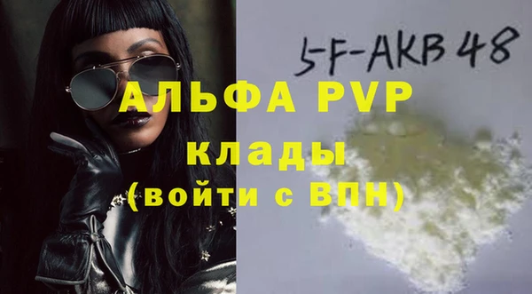 гашик Арсеньев