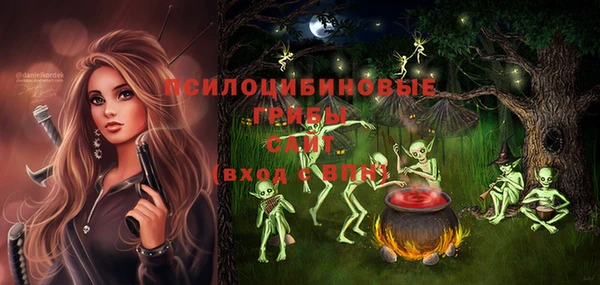 гашик Аркадак