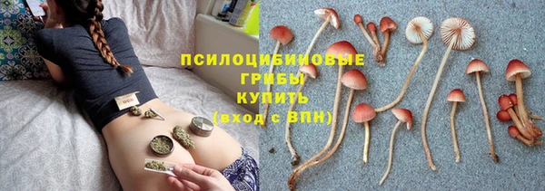 гашик Арсеньев