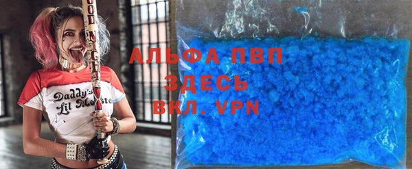 гашик Аркадак