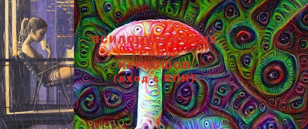 гашик Аркадак