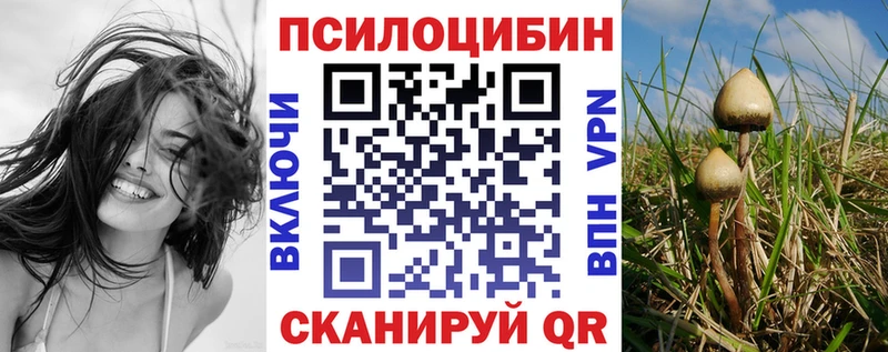Галлюциногенные грибы мухоморы продажа наркотиков Балахна